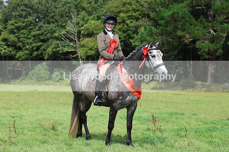 3E7A6169 - Working Hunter Championship