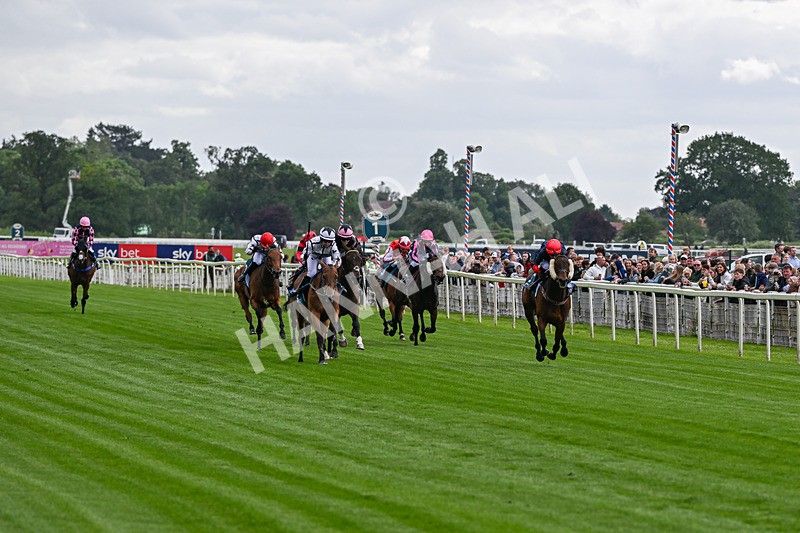 130626-Race 1-Dunkeld Dreamer-0507 - Race 1 13.50pm Queen Mother's Cup Handicap