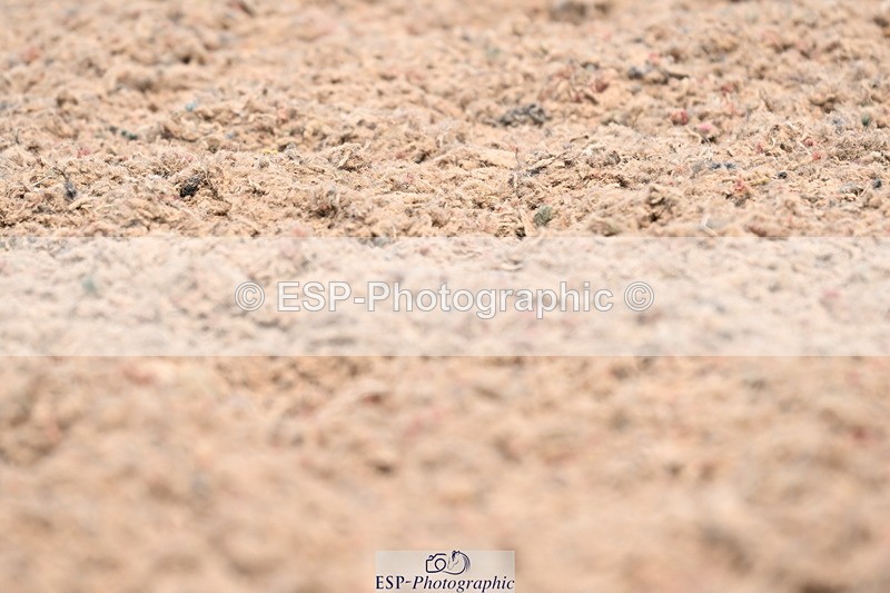 240621A-124254-02636 - Cls 5 BD Novice 37A