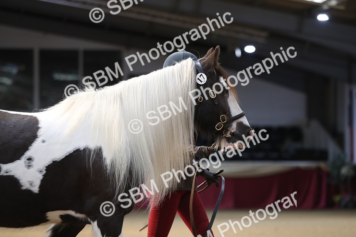 SBM_01279 - Class 3a Area IH Pre Vet