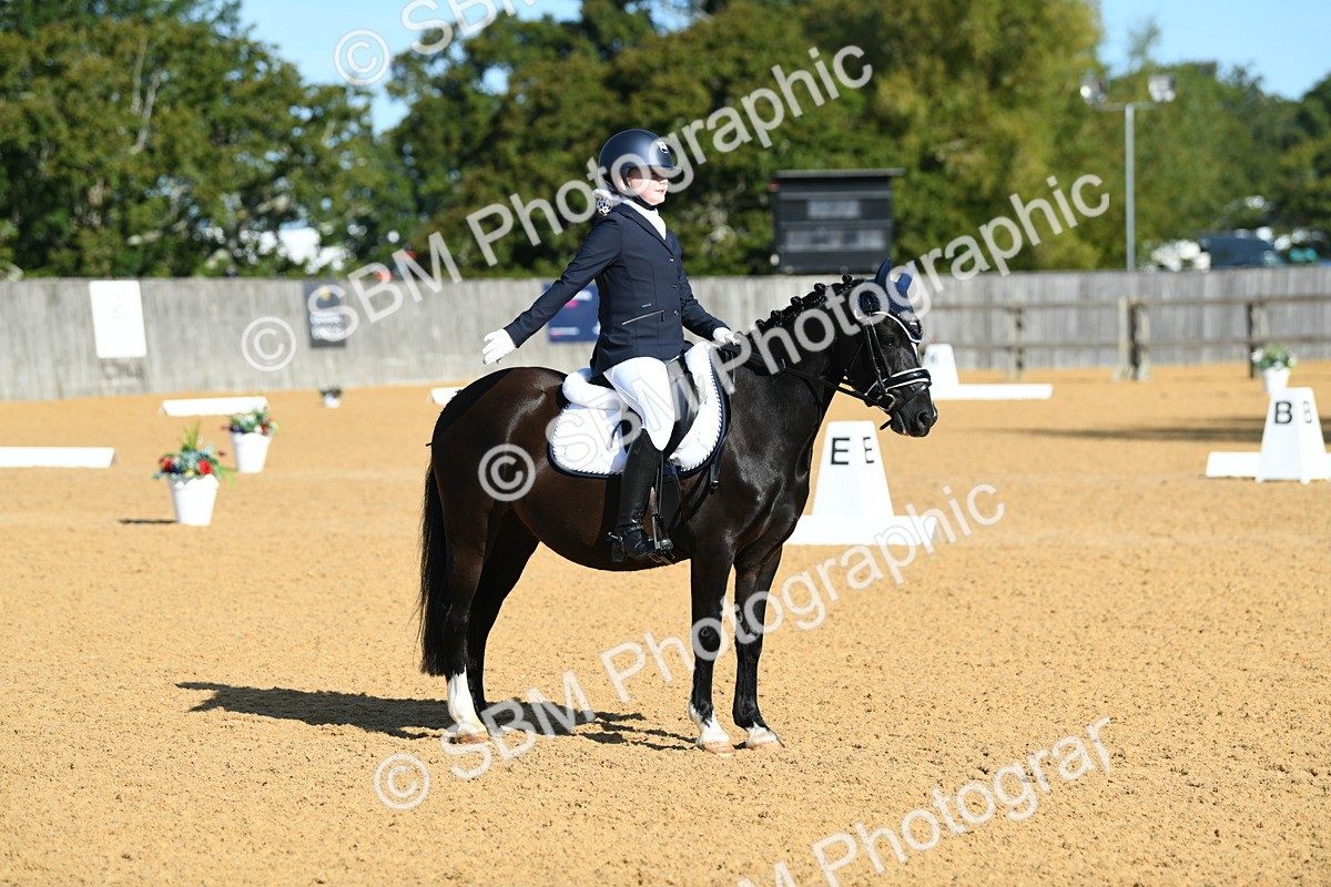 SBM_16340 - D4 - Small Tour Championship - Intro B