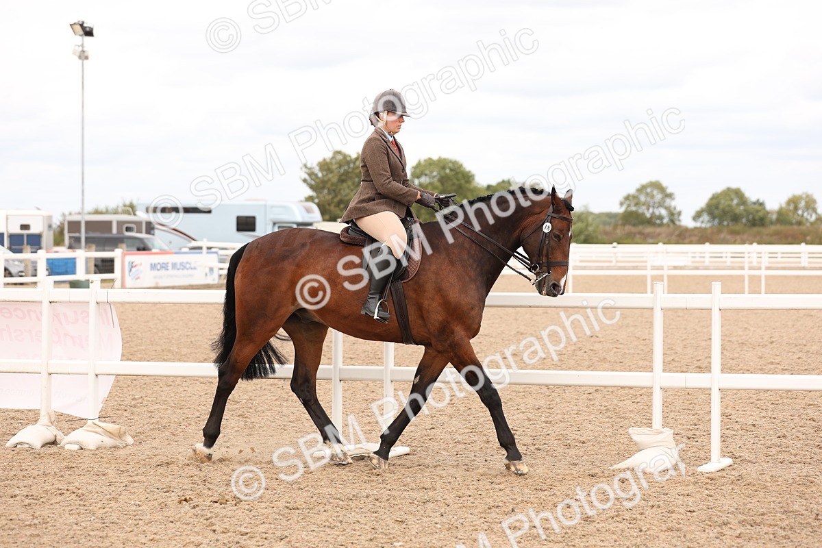 SBM_17195 - Class 213 - Ridden Hunter - Large