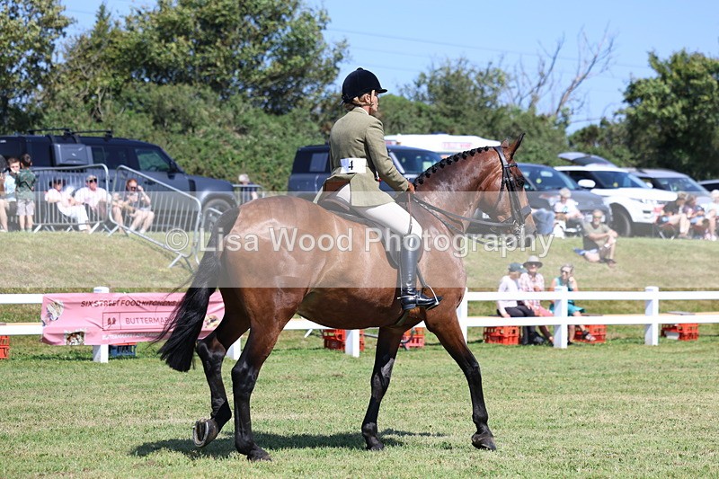 3E7A7449 - Rising Star Ridden Championship