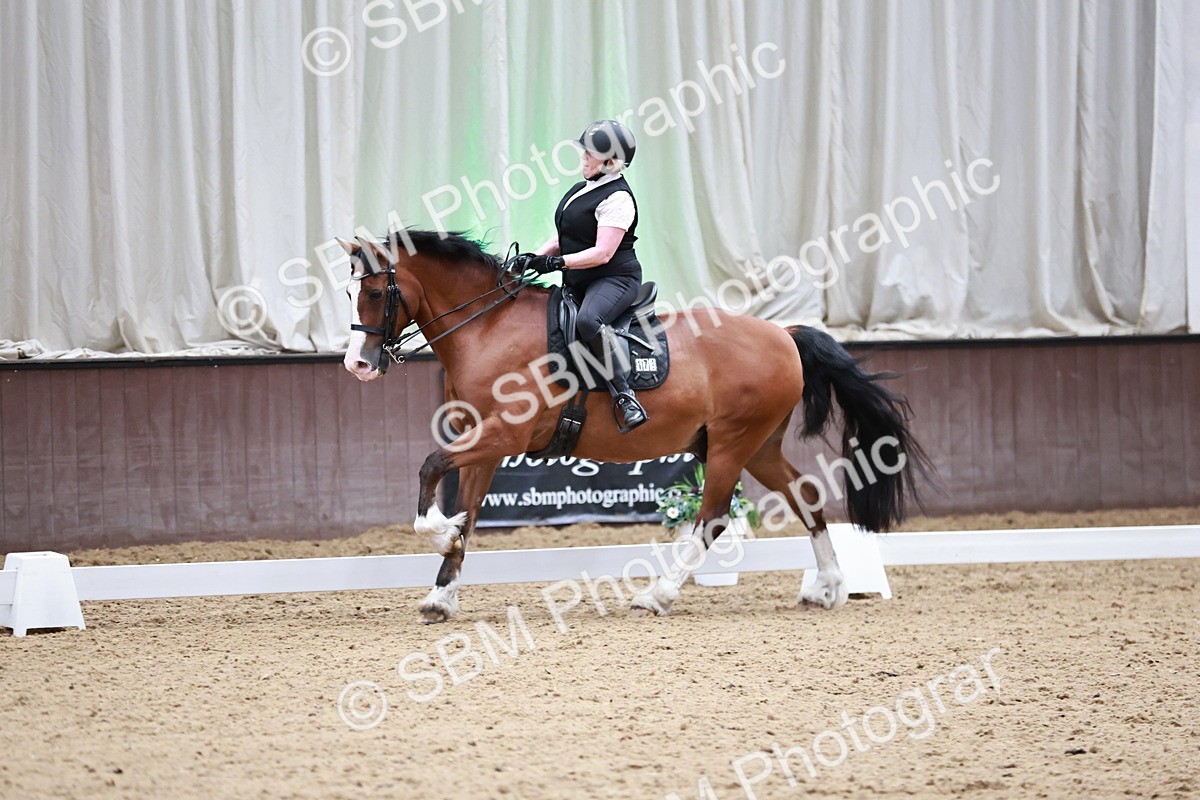 SBM_014359 - Class 7 - Ele FSM Bronze  13.24.14.04