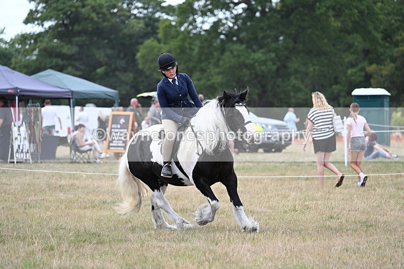 WJ7_5363 - Class 12 Ridden Cob