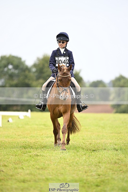 240824X-102505-21658 - D70 Section A and B 9.30 to 10.40