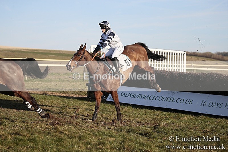 PtP 240218 709 - Vine & Craven Hunt Point-to-Point Barbury racecourse 24/02/18