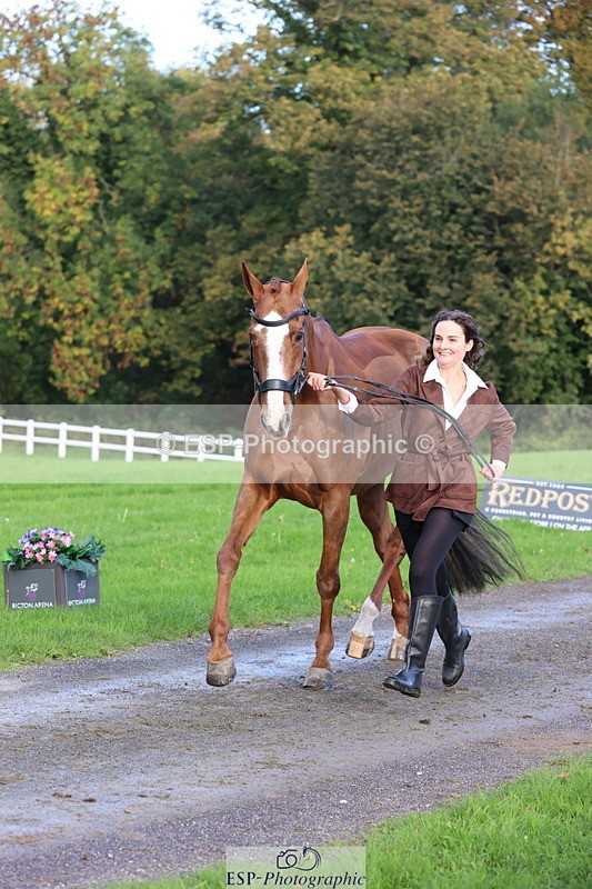 251026A-100004-22653 - D-368-Emma.Pine