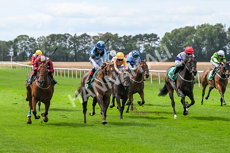 080825-Race 1-Golden Prosperity-1738 - Race 1