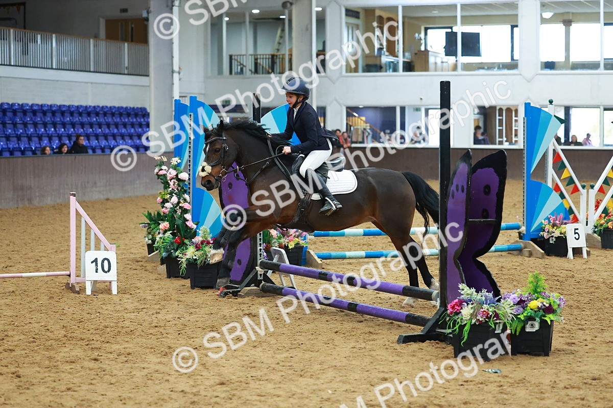 SBM_002493 - Class 3 - Horse & Hound (60cm)