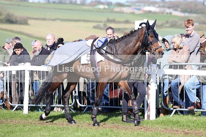 3E7A5587 - Race 6: Maiden (NWFAA)