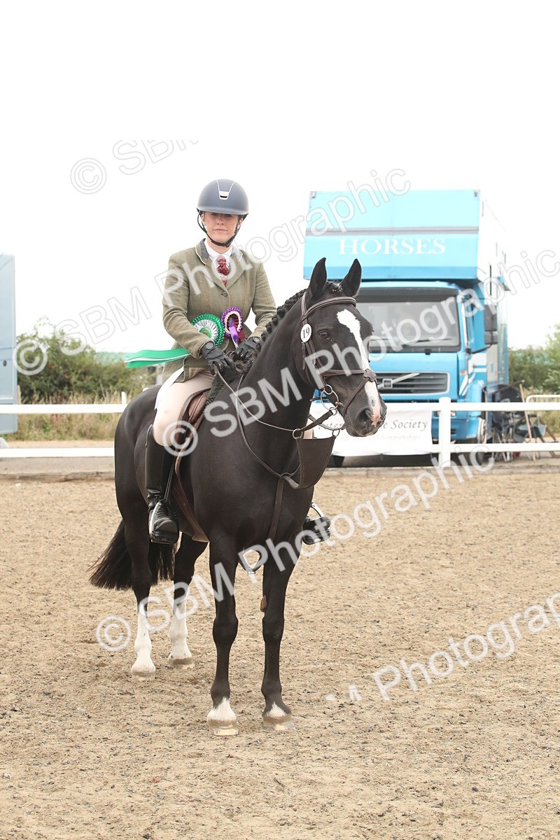 SBM_18334 - Class 509a - Working Veteran - 80cm (15-19)