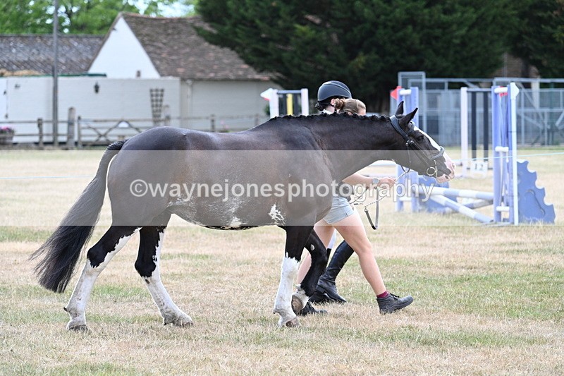 WJ7_1817 - Class 4a Prettiest Mare 14.2hh and over hand