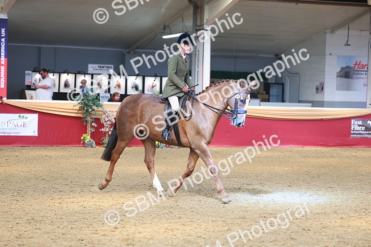 SBM_12570 - Class 103 - HOYS Veteran Qualifier - Ridden Pre Vet