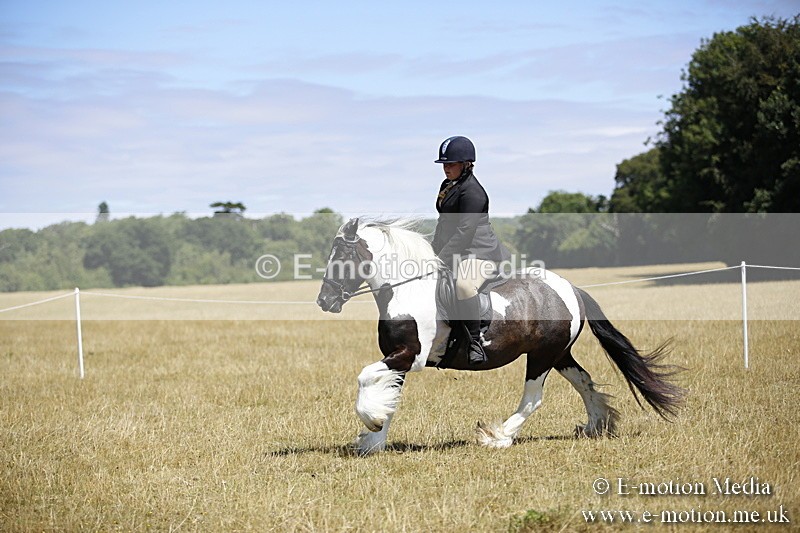 _C7A9918 - BVRC Show 2018 Ring 1