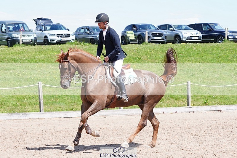 250510-131400-11402 - Cls 15 Prestige Big Star Quali  2nd Jump Off