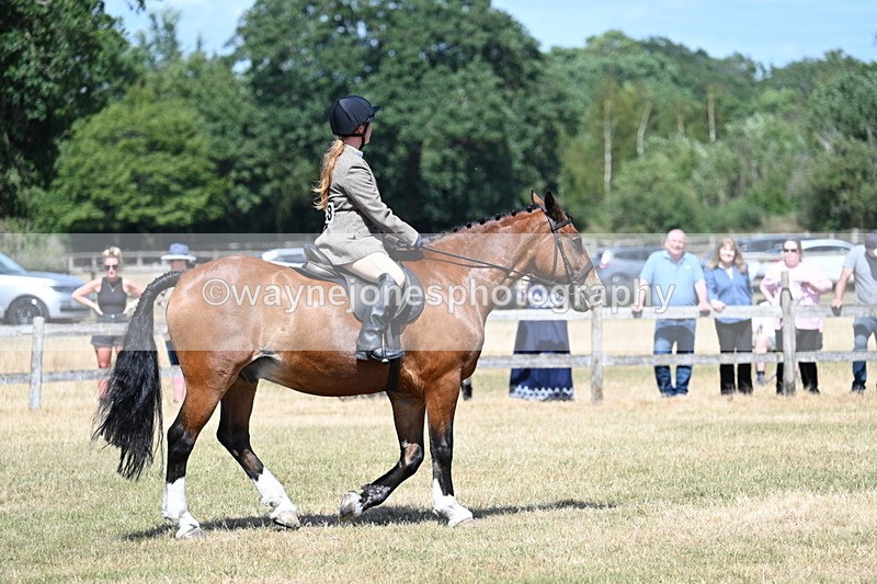 WJ7_3455 - Class 8 Ridden Veterans