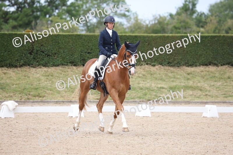 20250604-0456 - Class 3 - Novice 5