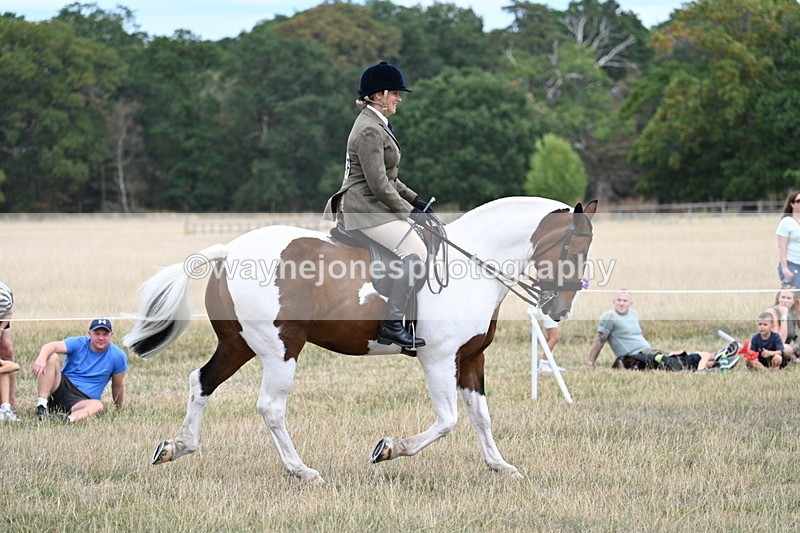 WJ7_4862 - Class 12 Ridden Cob