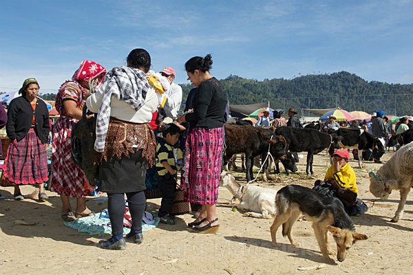  - Guatemala