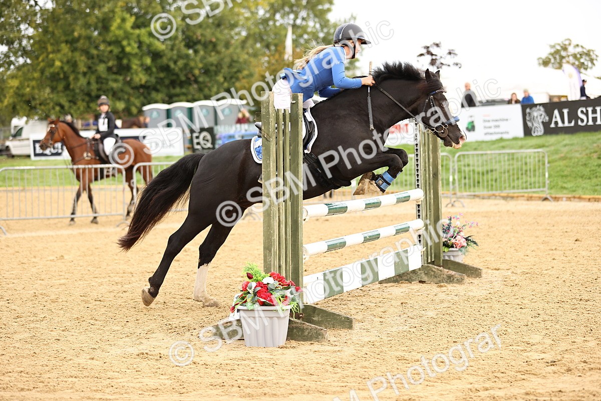 SBM_58273 - J41 - Grand Tour Horse & Pony 95cm