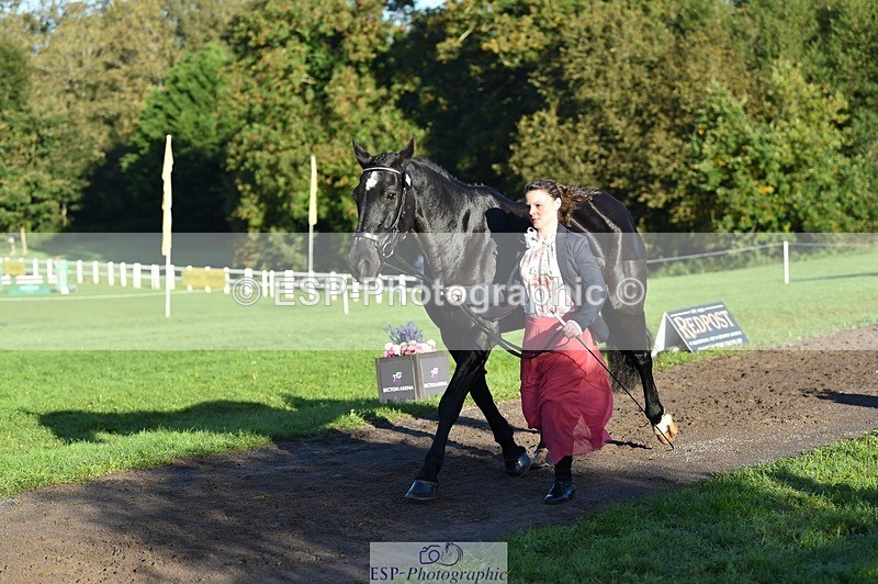 231022-093902-21945 - 414-LAMBORO.SPARKY-Lucy.Jowett-TrotUp+SJ