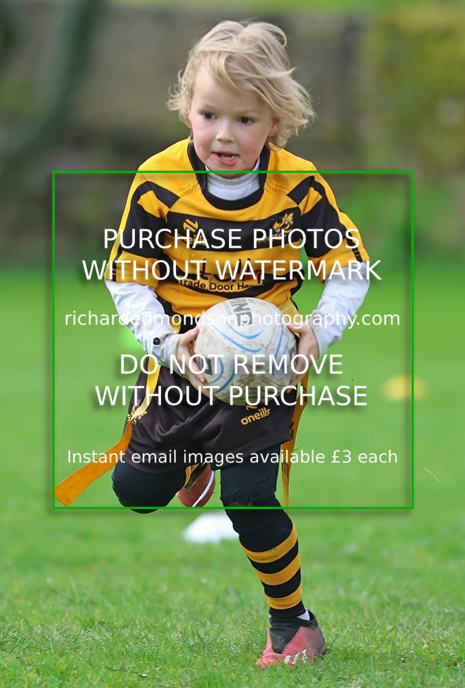 533A5375 - Kendal Rugby Under 7's (12/4/26)