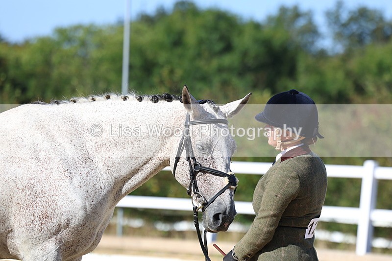 3E7A5543 - Class 9: Open Ridden Hunter
