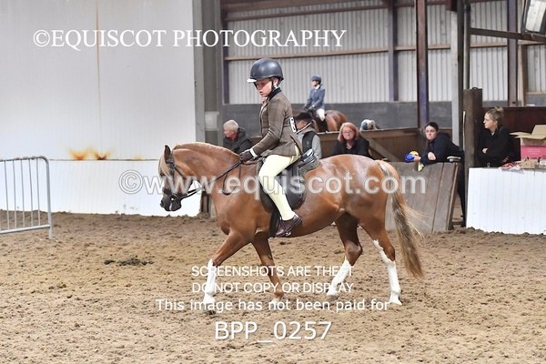 BPP_0257 - RING 1