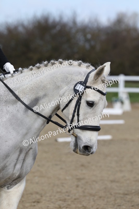 20260314-1977 - CT2 - Prelim 1