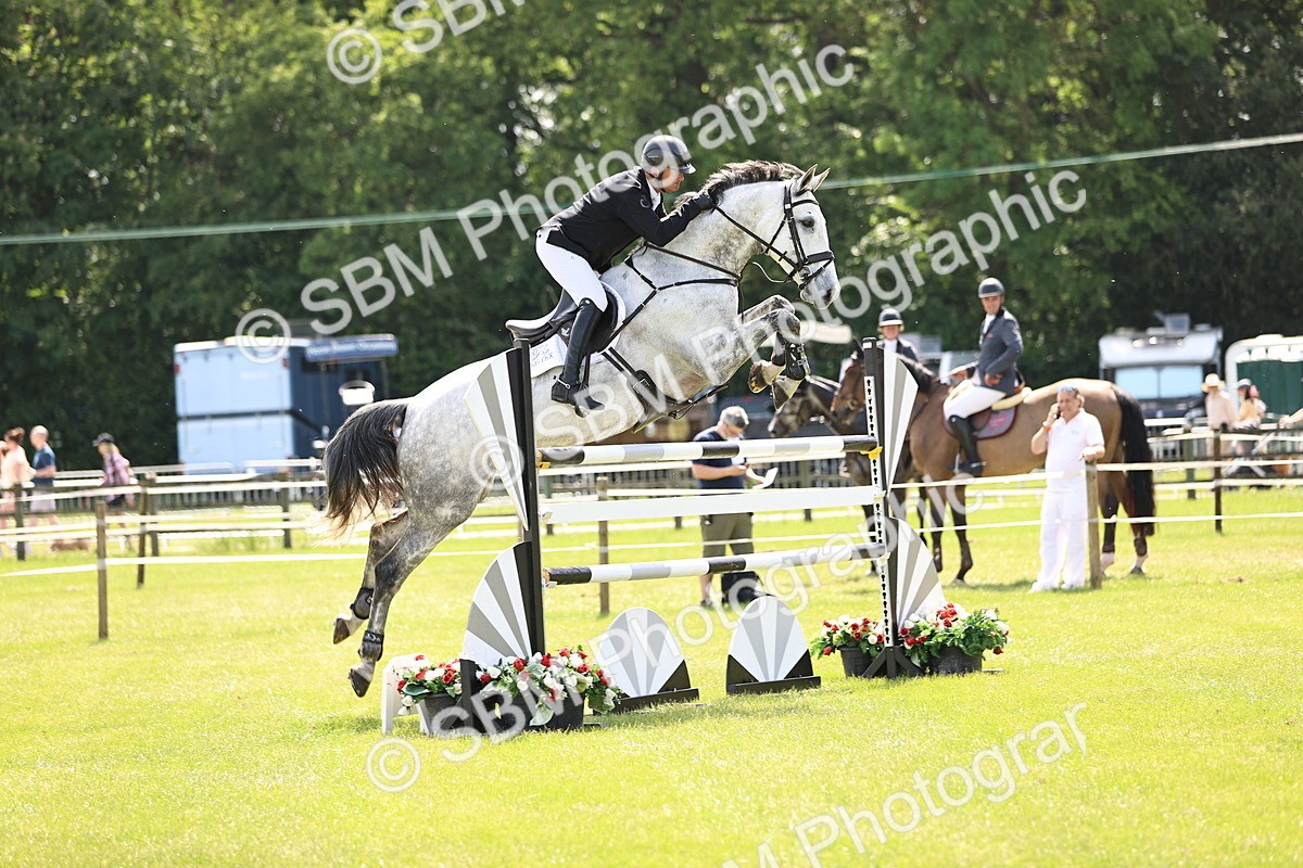 SBM_04044 - Class 201 - British Horse Feedds Speedi Beet HOYS Grade C