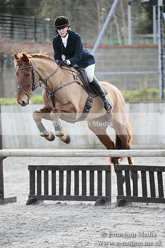 BVRC SJ 170319 749 - Bourne Valley Riding Club Showjumping 17/03/19