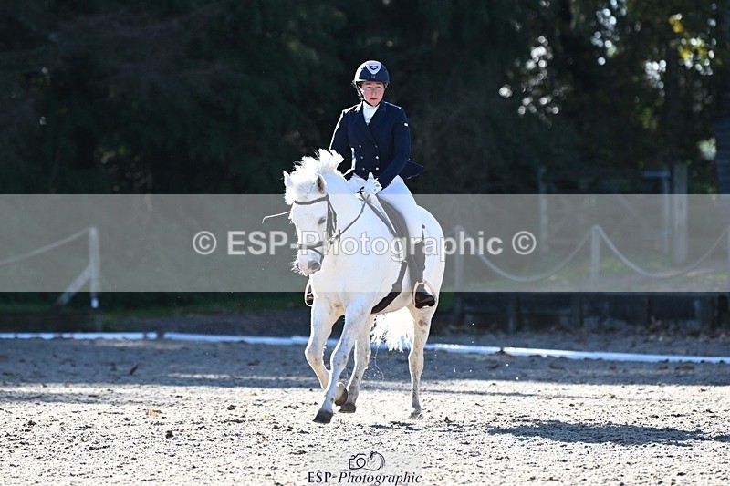 231110-113755-00484 - Cls 2 Prelim 17(a)Q