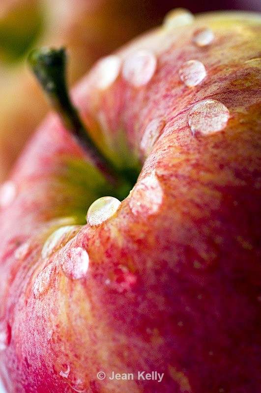 Apple - 5363 - Fruit