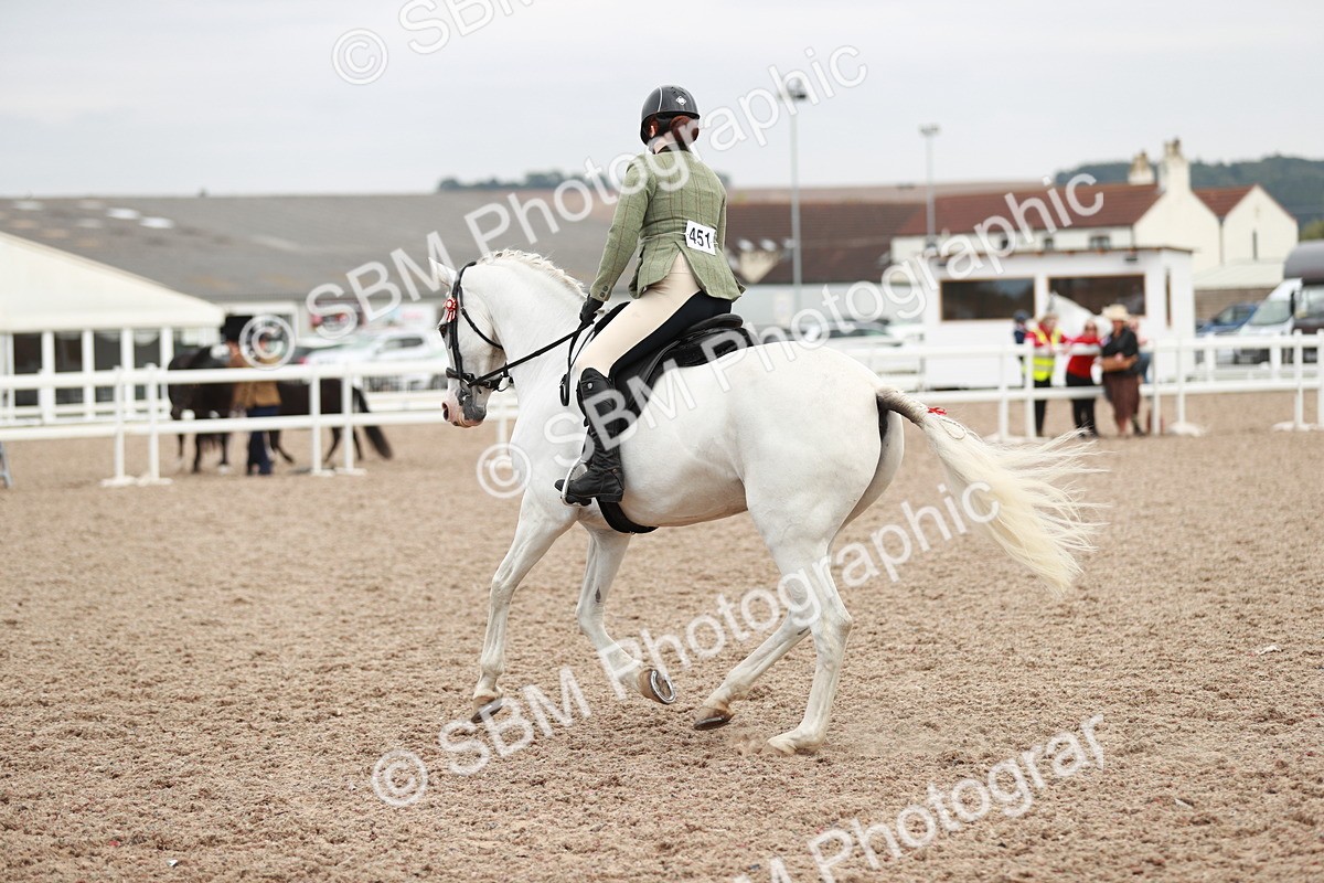 SBM_17624 - Class 215 Ridden Hack/ Riding Horse