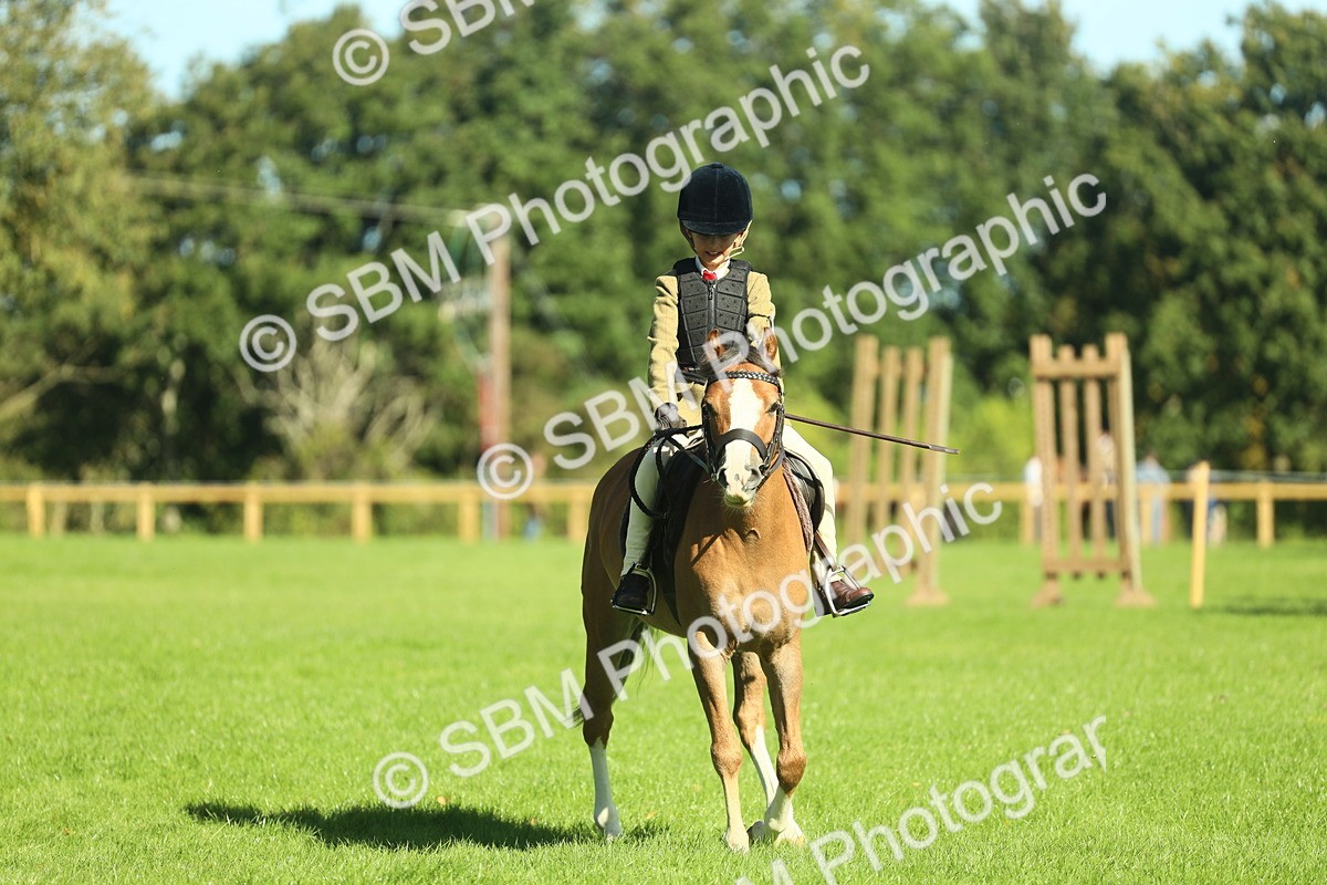 SBM_37412 - S29 - Novice & Newcomers Working Hunter Pony