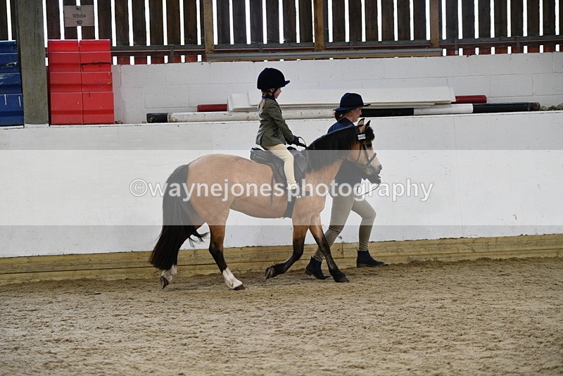 WJ5_6564 - Class 10 Childs Pony