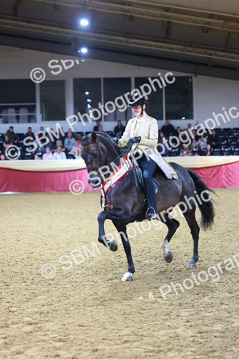 SBM_15579 - Class R - Veteran Champ
