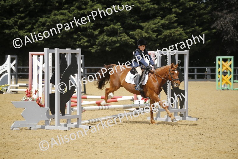 20250622-3997 - 50cm