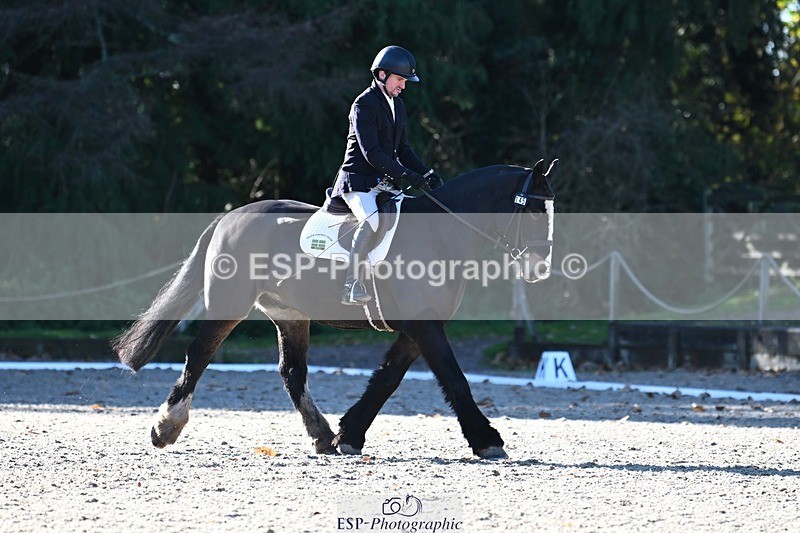 231110-103852-00148 - Cls 2 Prelim 17(a)Q