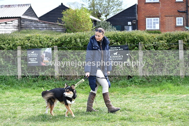 WJ5_0725 - Best in Show Championship