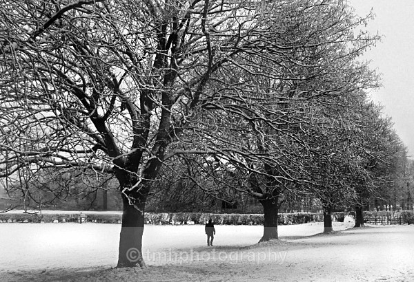 Walking in the Snow. - Monochrome Photograph's