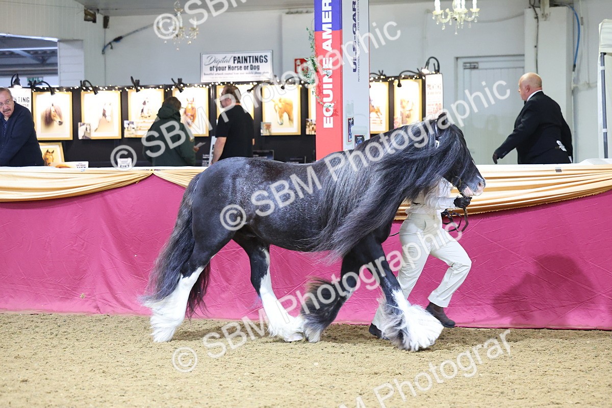SBM_20972 - Class 902 - Supreme Final IH Veteran
