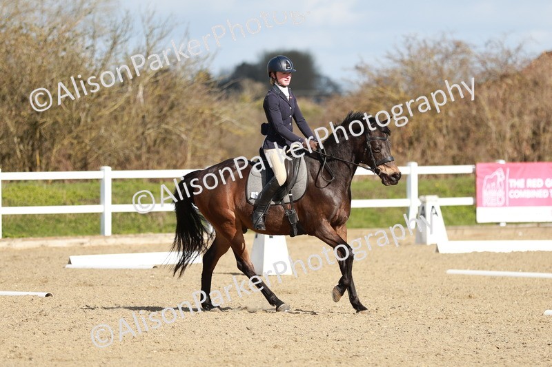 20260314-4328 - DR4 - Prelim 2