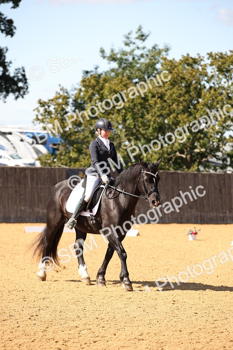 SBM_24212 - D5 - Small Tour Championship - Intro C