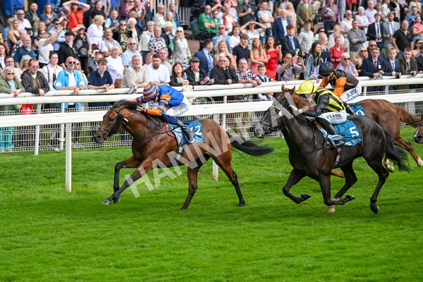080925-Race 4-Zain Blue-7618 - Race 4 4.00pm Sky Bet Extra Places Middle Distance Handicap