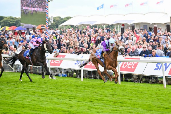 240824-Race 1-See The Fire-0990 - Race 1 1.50pm Sky Bet Strensall Stakes