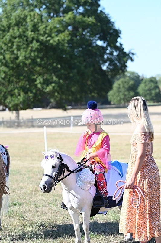 WJ7_2866 - Class 45 Fancy Dress (My Fav)