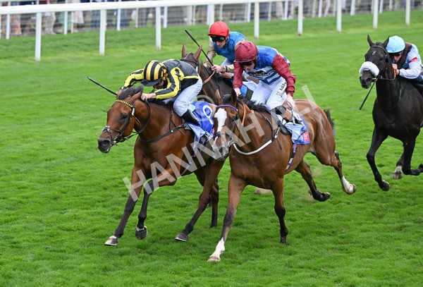 220825-011 Asgards Captain - Race 1 1.50pm Sky Bet Handicap