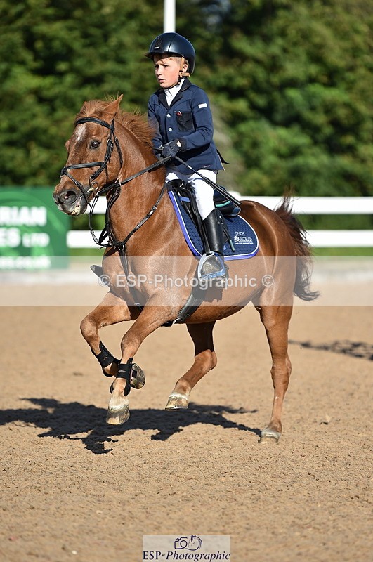 230903A-092958-03526 - Cls 17 Pony Intro 75cm